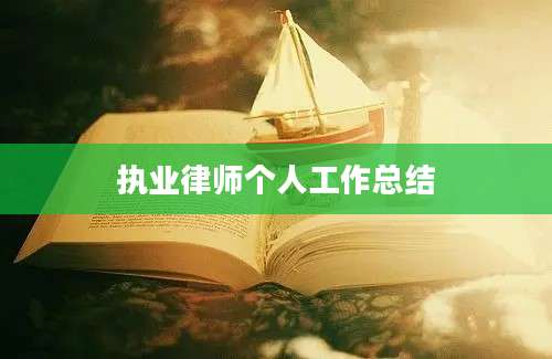 执业律师个人工作总结
