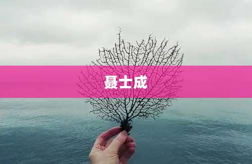 聂士成