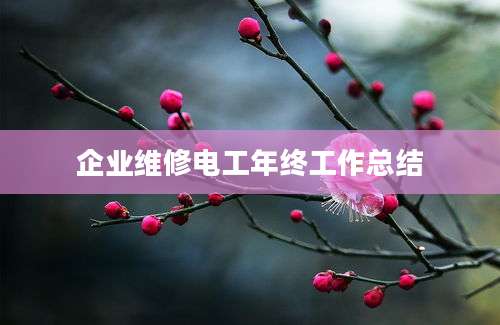企业维修电工年终工作总结