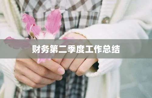财务第二季度工作总结