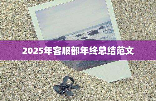 2025年客服部年终总结范文