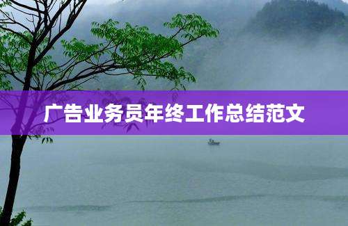 广告业务员年终工作总结范文