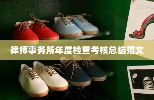 律师事务所年度检查考核总结范文