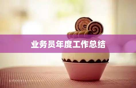 业务员年度工作总结
