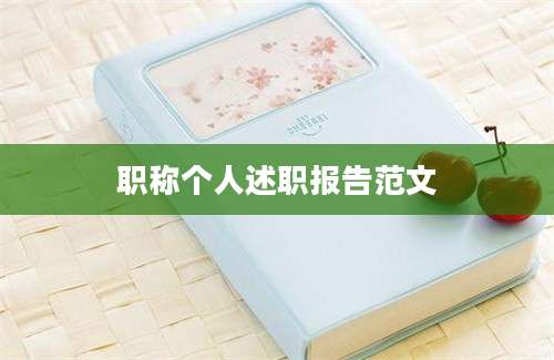 职称个人述职报告范文