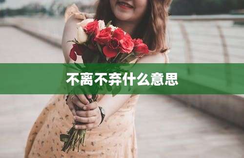 不离不弃什么意思