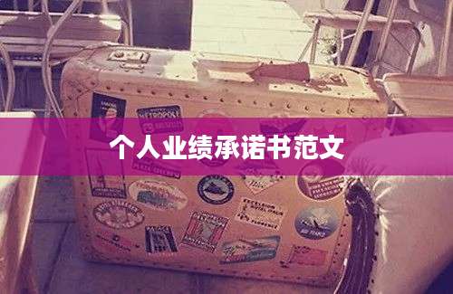 个人业绩承诺书范文