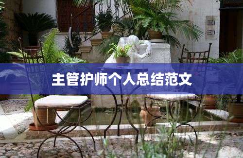 主管护师个人总结范文
