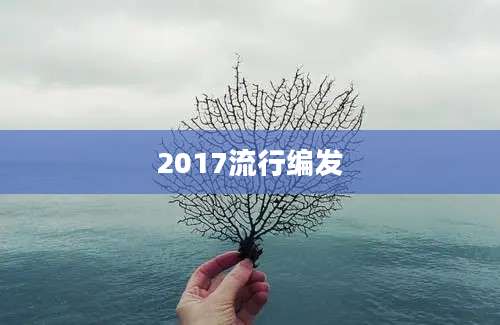 2017流行编发