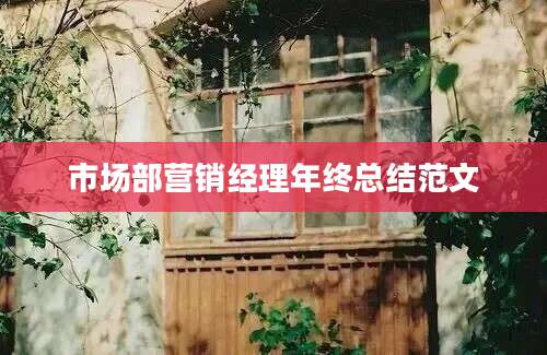 市场部营销经理年终总结范文