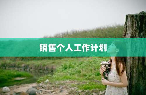 销售个人工作计划