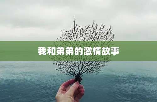 我和弟弟的激情故事