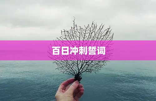 百日冲刺誓词