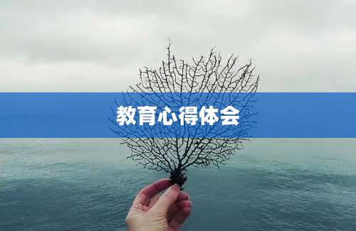 教育心得体会