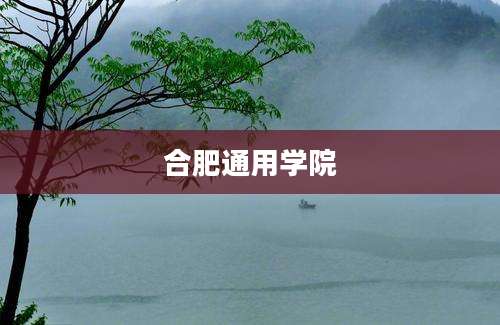 合肥通用学院