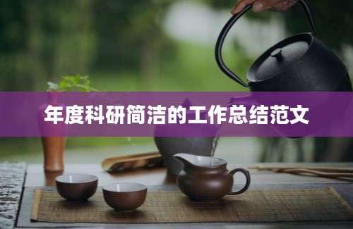 年度科研简洁的工作总结范文
