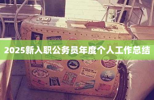 2025新入职公务员年度个人工作总结