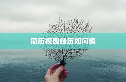 简历校园经历如何编