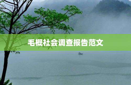 毛概社会调查报告范文