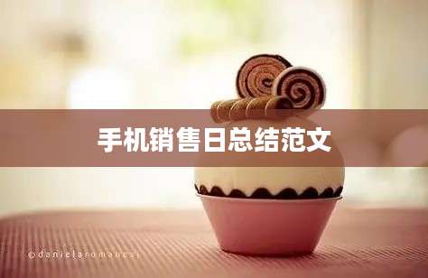 手机销售日总结范文