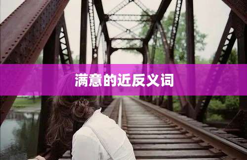满意的近反义词