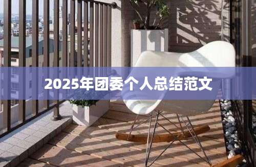 2025年团委个人总结范文