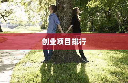 创业项目排行