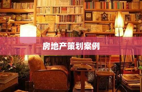 房地产策划案例