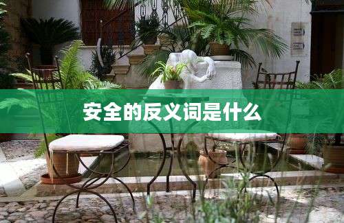 安全的反义词是什么