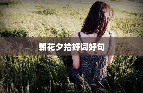 朝花夕拾好词好句