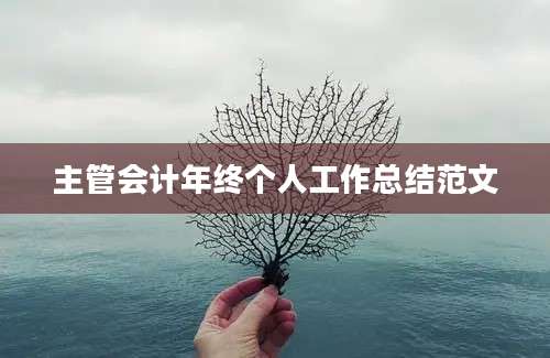 主管会计年终个人工作总结范文