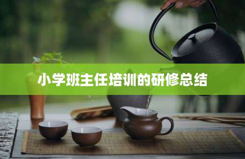小学班主任培训的研修总结