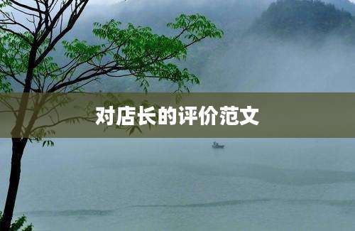 对店长的评价范文