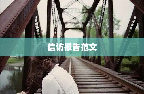 信访报告范文