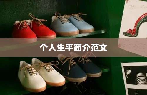 个人生平简介范文