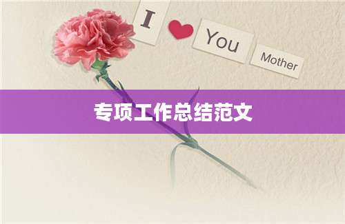 专项工作总结范文