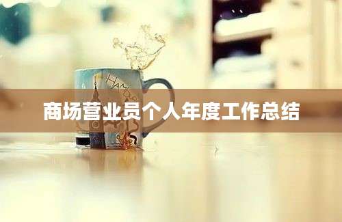 商场营业员个人年度工作总结