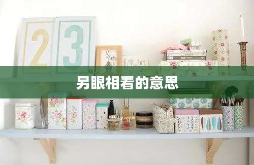 另眼相看的意思