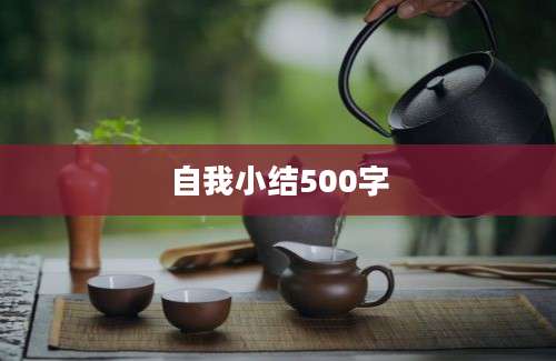 自我小结500字