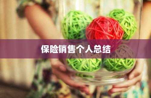 保险销售个人总结