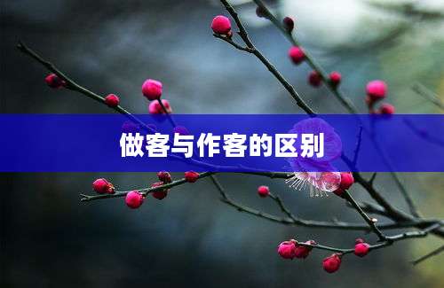 做客与作客的区别