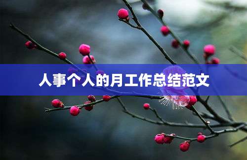 人事个人的月工作总结范文