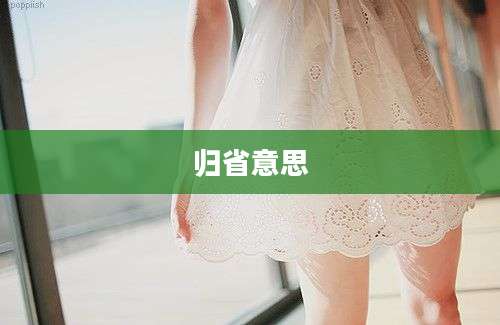 归省意思