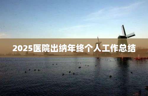 2025医院出纳年终个人工作总结