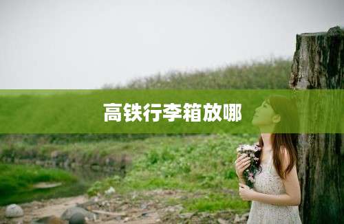 高铁行李箱放哪