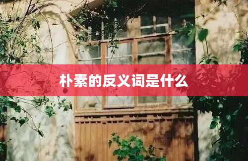 朴素的反义词是什么