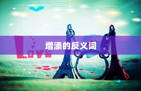 增添的反义词