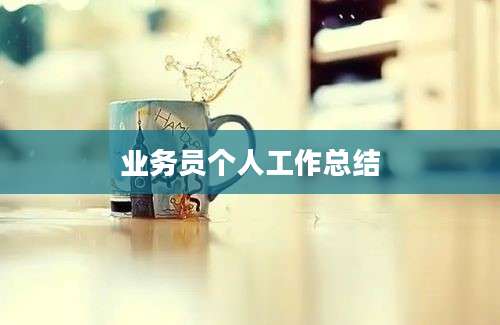 业务员个人工作总结