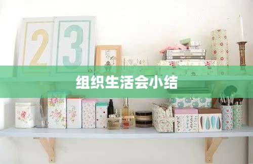 组织生活会小结