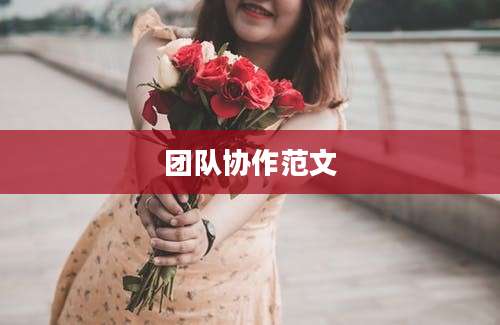 团队协作范文